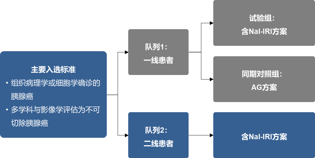 君临国际