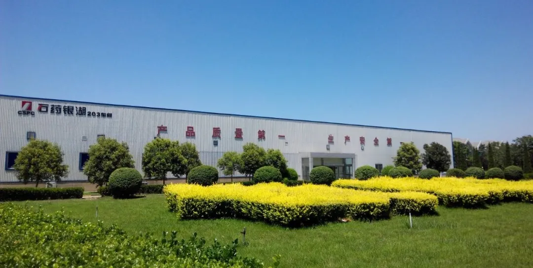 君临国际