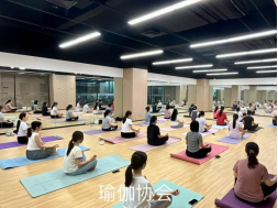 君临国际