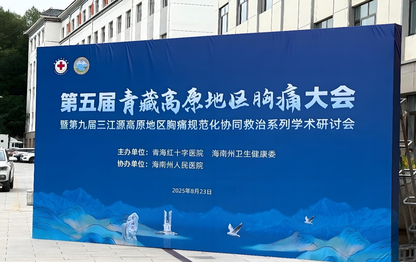 君临国际